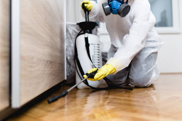 Trusted Elm Creek, NE Pest Control Experts