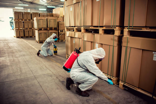 Best Termite Control Services  in Elm Creek, NE