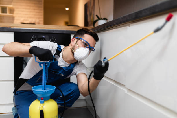 Best Affordable Pest Control Services  in Elm Creek, NE