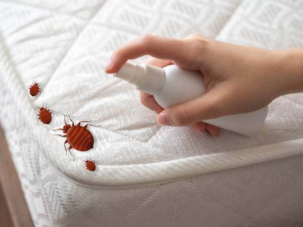 Best Flea Control Services  in Elm Creek, NE